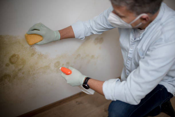 Water Damage Restoration in St Peters, MO
